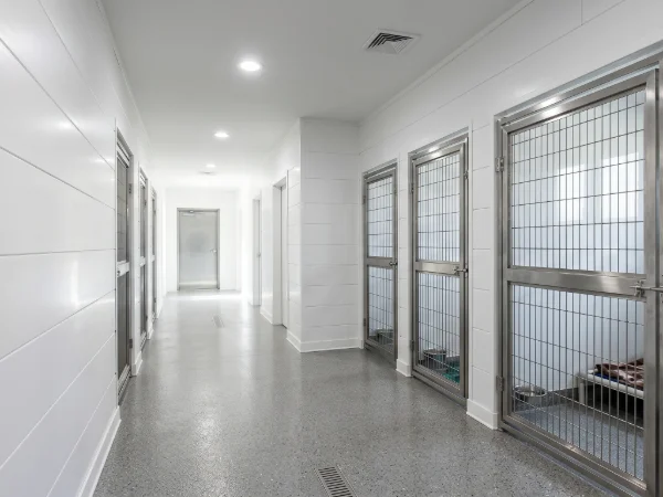 Clean stable interior at a kennel with PVC walls